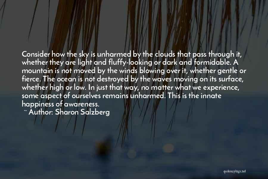 Sharon Salzberg Quotes: Consider How The Sky Is Unharmed By The Clouds That Pass Through It, Whether They Are Light And Fluffy-looking Or