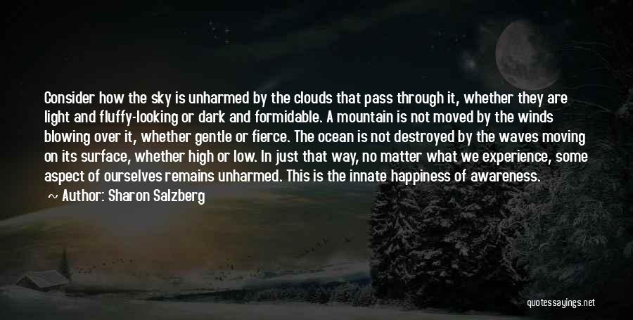Sharon Salzberg Quotes: Consider How The Sky Is Unharmed By The Clouds That Pass Through It, Whether They Are Light And Fluffy-looking Or