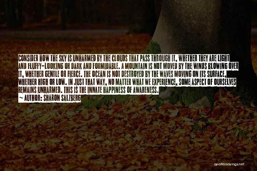 Sharon Salzberg Quotes: Consider How The Sky Is Unharmed By The Clouds That Pass Through It, Whether They Are Light And Fluffy-looking Or
