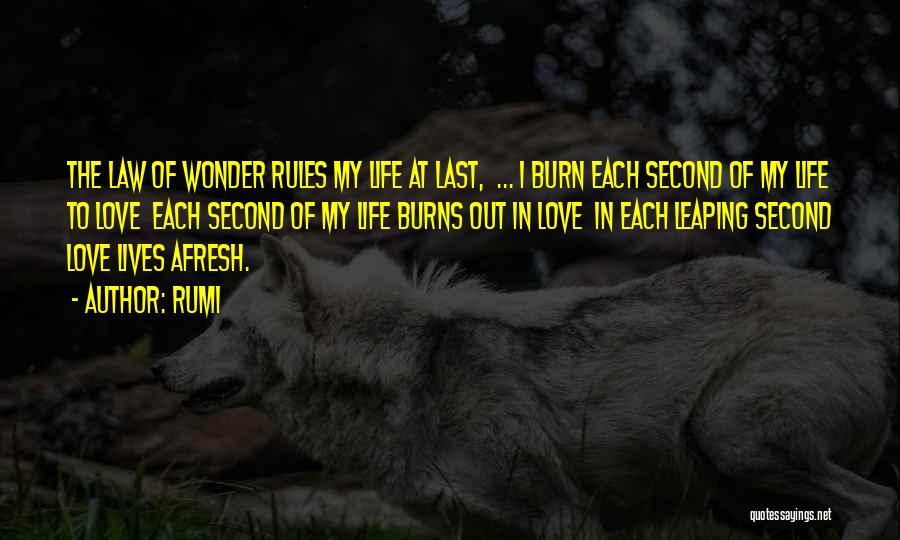 Rumi Quotes: The Law Of Wonder Rules My Life At Last, ... I Burn Each Second Of My Life To Love Each