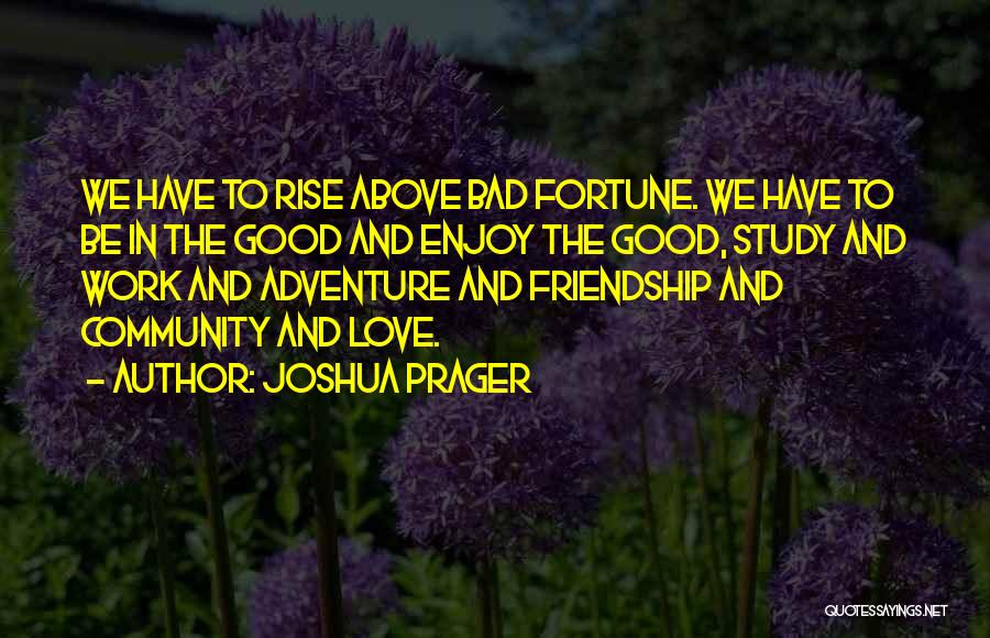 Joshua Prager Quotes: We Have To Rise Above Bad Fortune. We Have To Be In The Good And Enjoy The Good, Study And