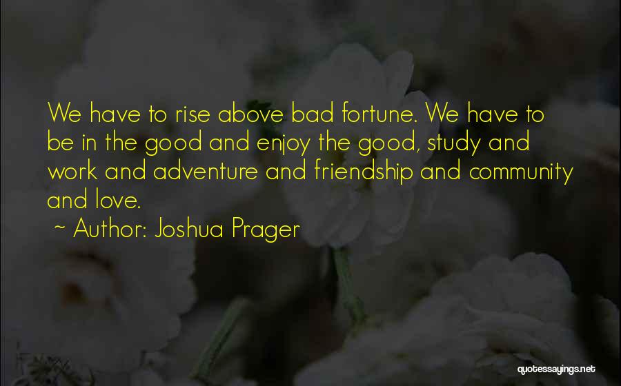 Joshua Prager Quotes: We Have To Rise Above Bad Fortune. We Have To Be In The Good And Enjoy The Good, Study And