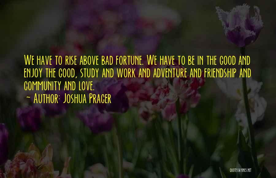 Joshua Prager Quotes: We Have To Rise Above Bad Fortune. We Have To Be In The Good And Enjoy The Good, Study And