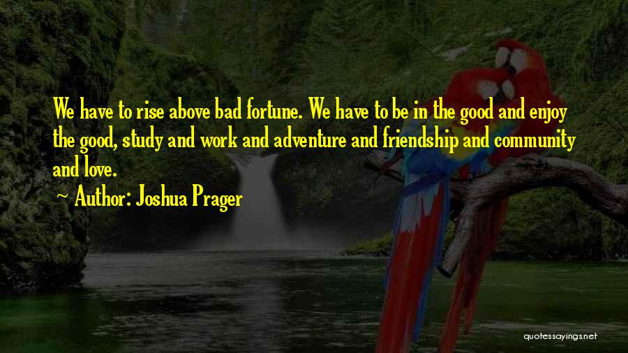 Joshua Prager Quotes: We Have To Rise Above Bad Fortune. We Have To Be In The Good And Enjoy The Good, Study And