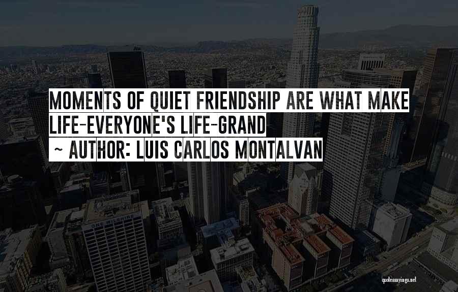 Luis Carlos Montalvan Quotes: Moments Of Quiet Friendship Are What Make Life-everyone's Life-grand