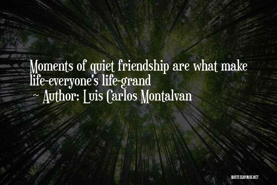 Luis Carlos Montalvan Quotes: Moments Of Quiet Friendship Are What Make Life-everyone's Life-grand