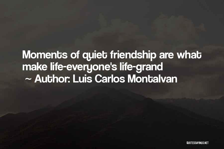 Luis Carlos Montalvan Quotes: Moments Of Quiet Friendship Are What Make Life-everyone's Life-grand