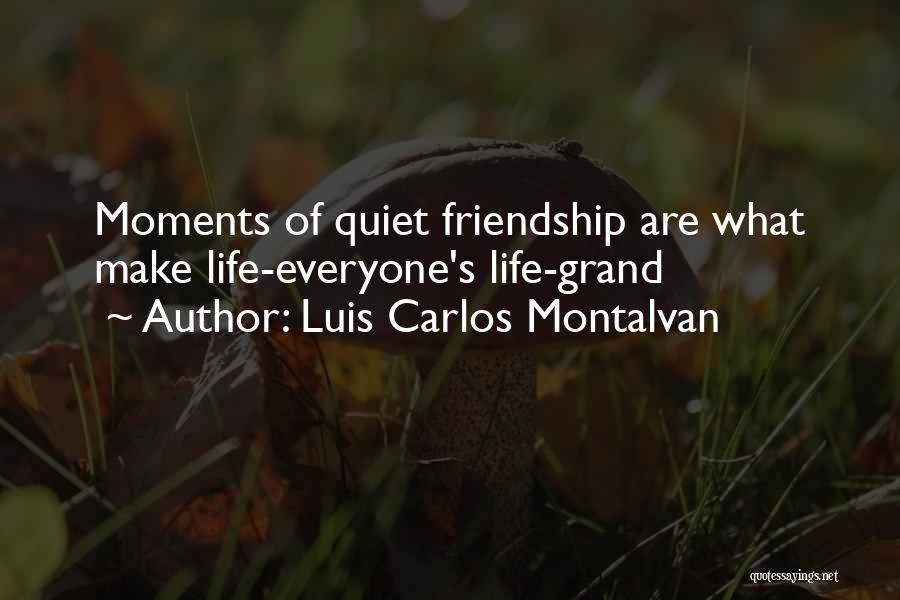 Luis Carlos Montalvan Quotes: Moments Of Quiet Friendship Are What Make Life-everyone's Life-grand