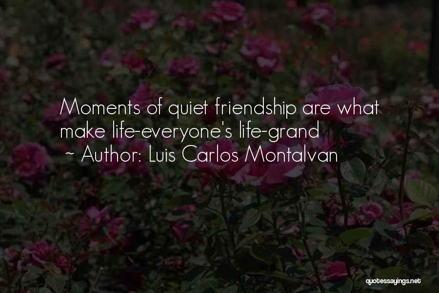 Luis Carlos Montalvan Quotes: Moments Of Quiet Friendship Are What Make Life-everyone's Life-grand