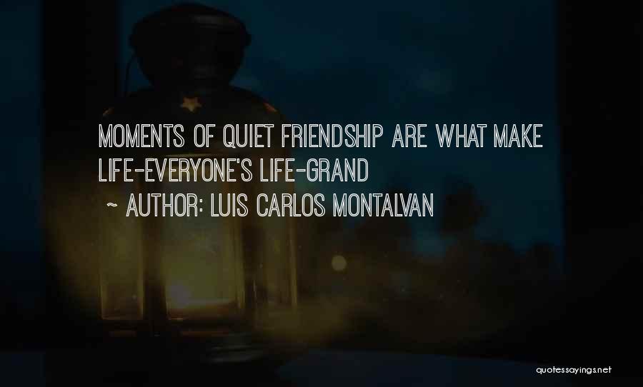 Luis Carlos Montalvan Quotes: Moments Of Quiet Friendship Are What Make Life-everyone's Life-grand
