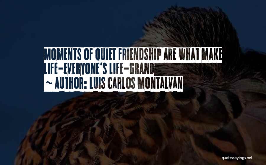 Luis Carlos Montalvan Quotes: Moments Of Quiet Friendship Are What Make Life-everyone's Life-grand