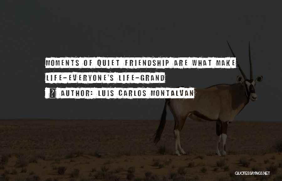 Luis Carlos Montalvan Quotes: Moments Of Quiet Friendship Are What Make Life-everyone's Life-grand