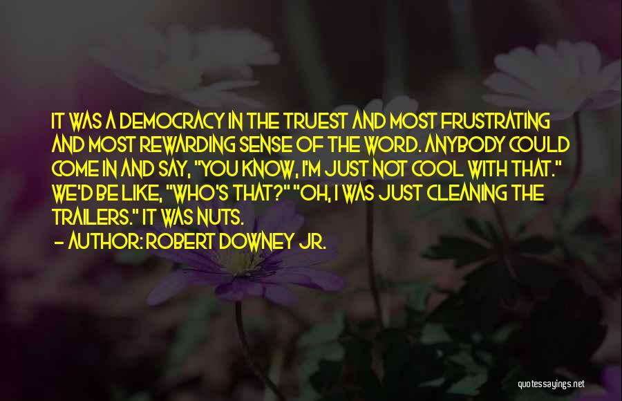 Robert Downey Jr. Quotes: It Was A Democracy In The Truest And Most Frustrating And Most Rewarding Sense Of The Word. Anybody Could Come