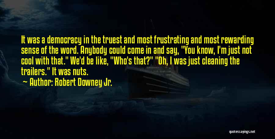 Robert Downey Jr. Quotes: It Was A Democracy In The Truest And Most Frustrating And Most Rewarding Sense Of The Word. Anybody Could Come