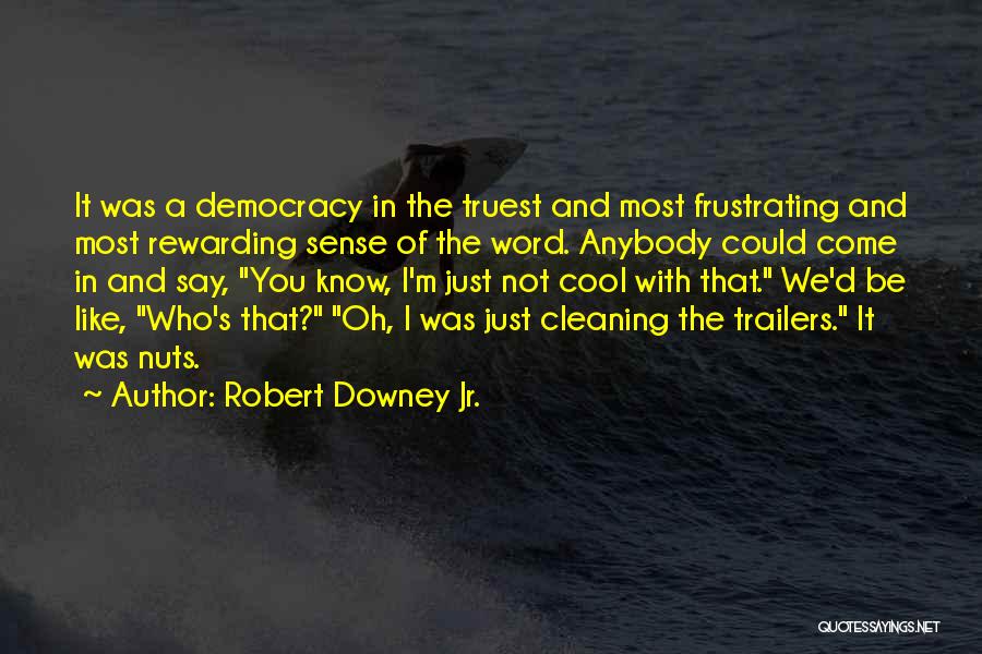 Robert Downey Jr. Quotes: It Was A Democracy In The Truest And Most Frustrating And Most Rewarding Sense Of The Word. Anybody Could Come