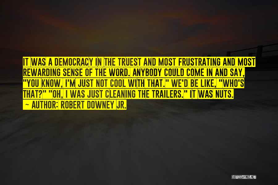 Robert Downey Jr. Quotes: It Was A Democracy In The Truest And Most Frustrating And Most Rewarding Sense Of The Word. Anybody Could Come