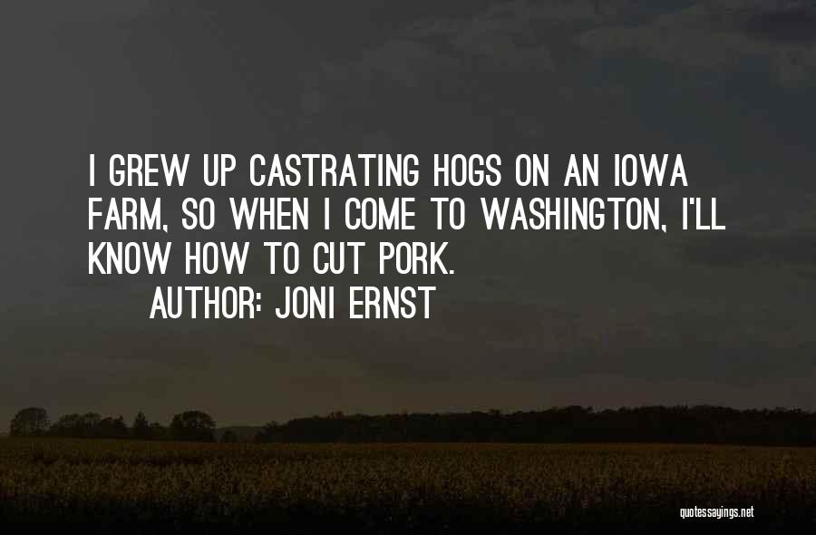 Joni Ernst Quotes: I Grew Up Castrating Hogs On An Iowa Farm, So When I Come To Washington, I'll Know How To Cut