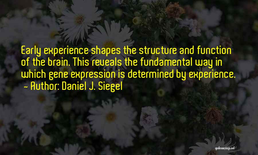 Daniel J. Siegel Quotes: Early Experience Shapes The Structure And Function Of The Brain. This Reveals The Fundamental Way In Which Gene Expression Is