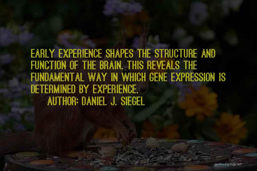 Daniel J. Siegel Quotes: Early Experience Shapes The Structure And Function Of The Brain. This Reveals The Fundamental Way In Which Gene Expression Is