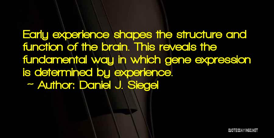 Daniel J. Siegel Quotes: Early Experience Shapes The Structure And Function Of The Brain. This Reveals The Fundamental Way In Which Gene Expression Is