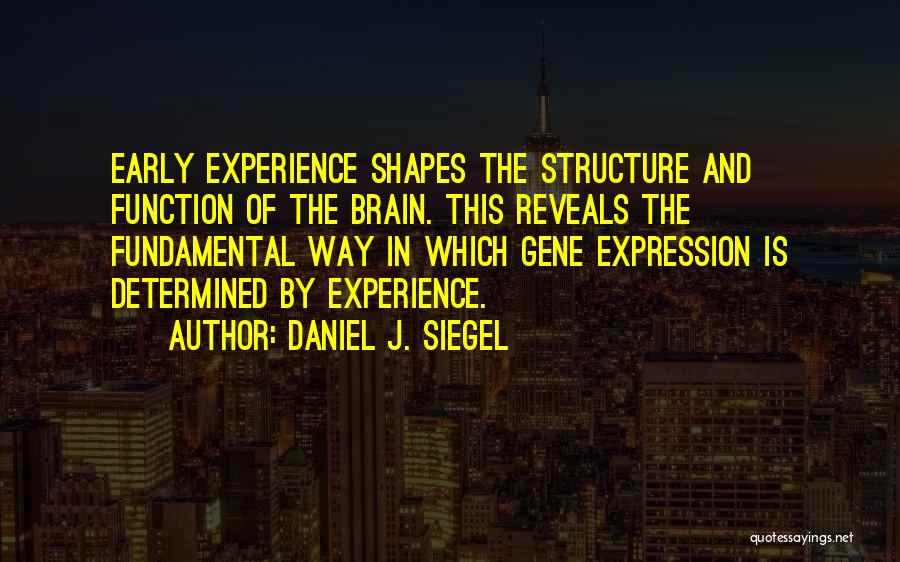 Daniel J. Siegel Quotes: Early Experience Shapes The Structure And Function Of The Brain. This Reveals The Fundamental Way In Which Gene Expression Is