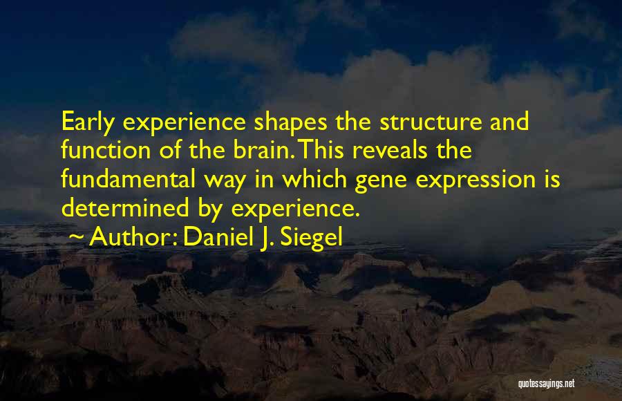 Daniel J. Siegel Quotes: Early Experience Shapes The Structure And Function Of The Brain. This Reveals The Fundamental Way In Which Gene Expression Is