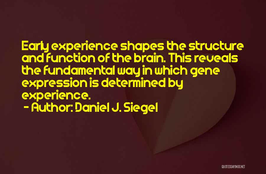 Daniel J. Siegel Quotes: Early Experience Shapes The Structure And Function Of The Brain. This Reveals The Fundamental Way In Which Gene Expression Is