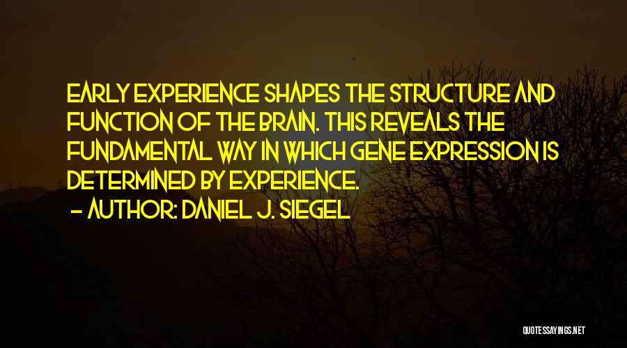 Daniel J. Siegel Quotes: Early Experience Shapes The Structure And Function Of The Brain. This Reveals The Fundamental Way In Which Gene Expression Is