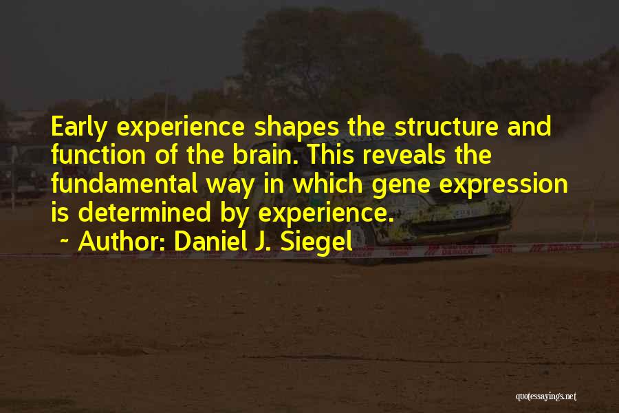 Daniel J. Siegel Quotes: Early Experience Shapes The Structure And Function Of The Brain. This Reveals The Fundamental Way In Which Gene Expression Is