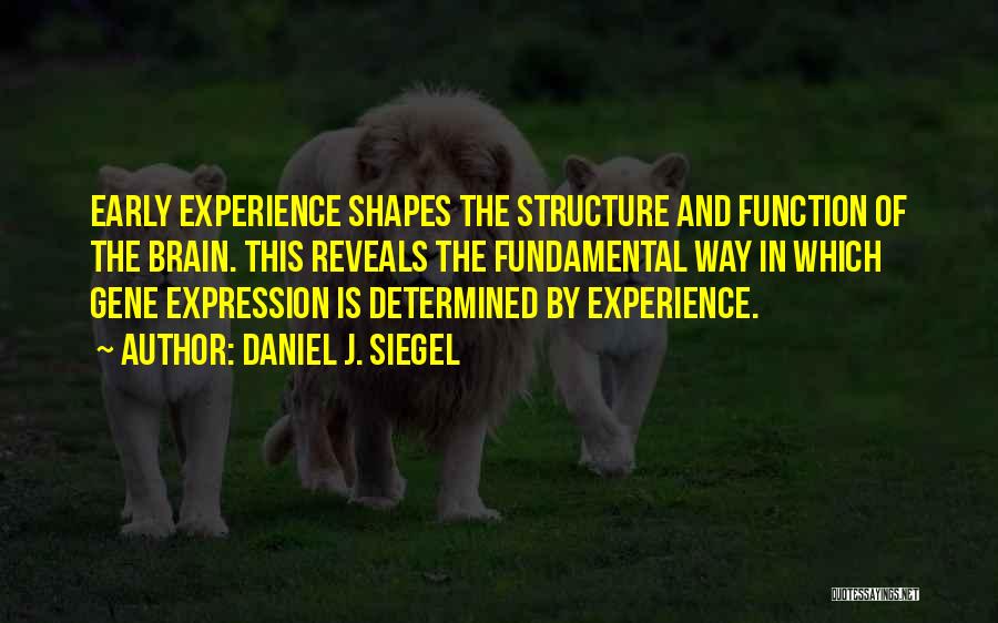 Daniel J. Siegel Quotes: Early Experience Shapes The Structure And Function Of The Brain. This Reveals The Fundamental Way In Which Gene Expression Is