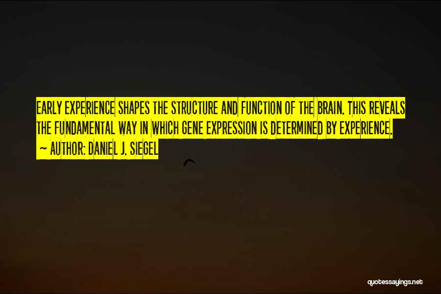 Daniel J. Siegel Quotes: Early Experience Shapes The Structure And Function Of The Brain. This Reveals The Fundamental Way In Which Gene Expression Is