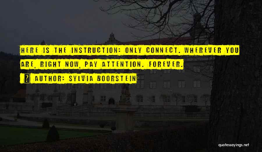 Sylvia Boorstein Quotes: Here Is The Instruction: Only Connect. Wherever You Are, Right Now, Pay Attention. Forever.