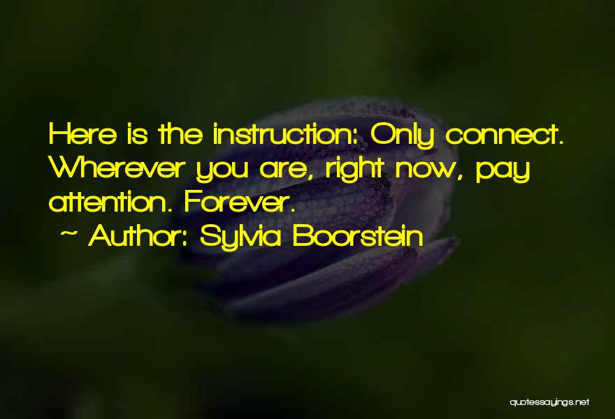 Sylvia Boorstein Quotes: Here Is The Instruction: Only Connect. Wherever You Are, Right Now, Pay Attention. Forever.