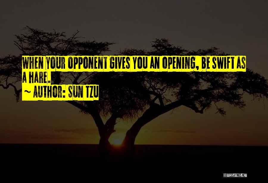 Sun Tzu Quotes: When Your Opponent Gives You An Opening, Be Swift As A Hare.