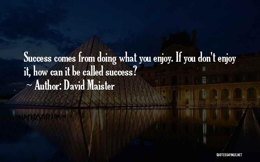 David Maister Quotes: Success Comes From Doing What You Enjoy. If You Don't Enjoy It, How Can It Be Called Success?