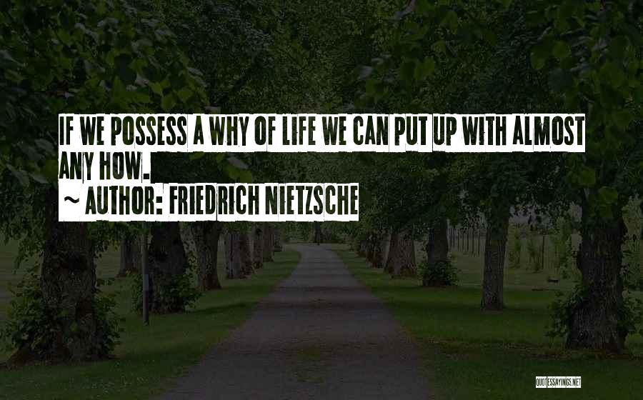 Friedrich Nietzsche Quotes: If We Possess A Why Of Life We Can Put Up With Almost Any How.