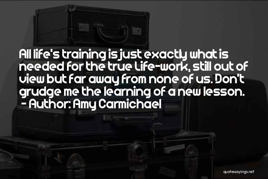 Amy Carmichael Quotes: All Life's Training Is Just Exactly What Is Needed For The True Life-work, Still Out Of View But Far Away