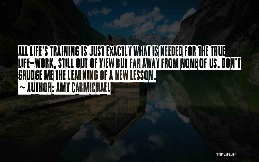 Amy Carmichael Quotes: All Life's Training Is Just Exactly What Is Needed For The True Life-work, Still Out Of View But Far Away