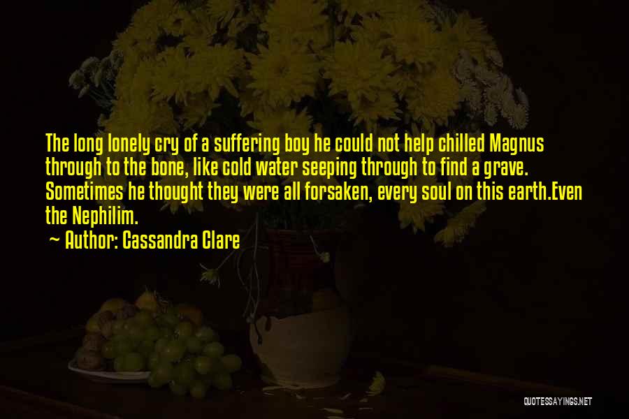 Cassandra Clare Quotes: The Long Lonely Cry Of A Suffering Boy He Could Not Help Chilled Magnus Through To The Bone, Like Cold