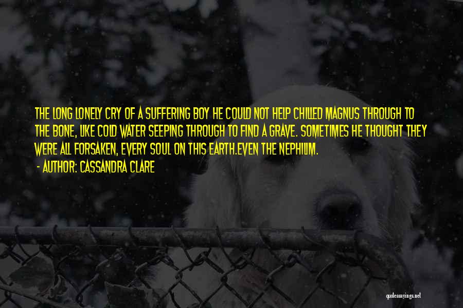 Cassandra Clare Quotes: The Long Lonely Cry Of A Suffering Boy He Could Not Help Chilled Magnus Through To The Bone, Like Cold