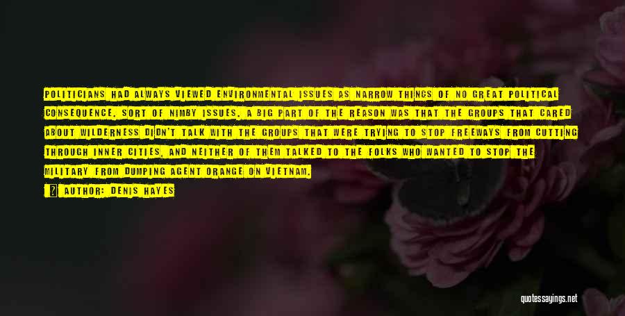 Denis Hayes Quotes: Politicians Had Always Viewed Environmental Issues As Narrow Things Of No Great Political Consequence. Sort Of Nimby Issues. A Big
