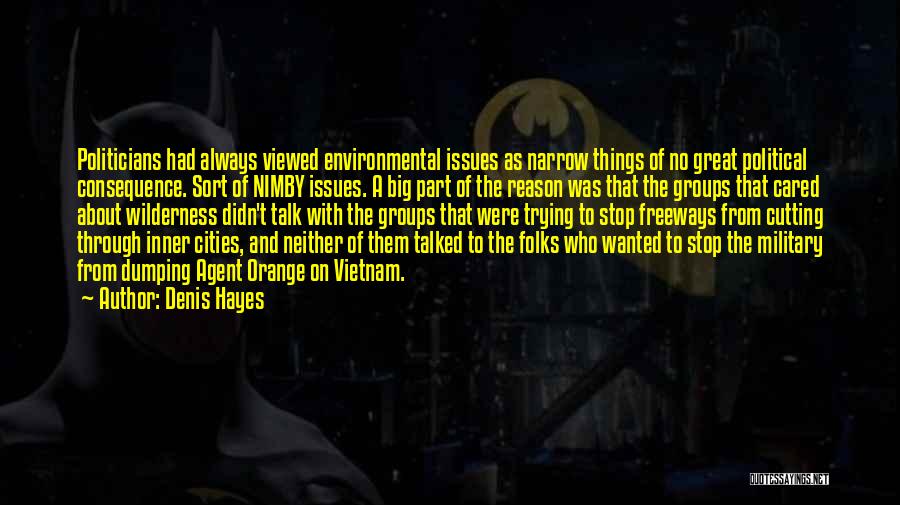Denis Hayes Quotes: Politicians Had Always Viewed Environmental Issues As Narrow Things Of No Great Political Consequence. Sort Of Nimby Issues. A Big