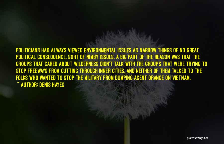 Denis Hayes Quotes: Politicians Had Always Viewed Environmental Issues As Narrow Things Of No Great Political Consequence. Sort Of Nimby Issues. A Big