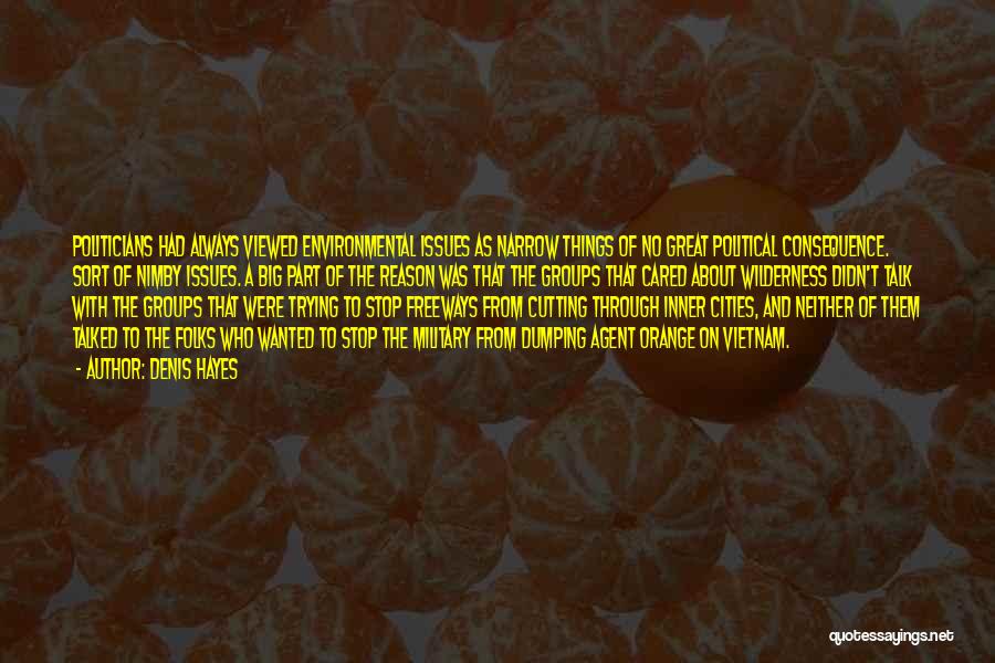 Denis Hayes Quotes: Politicians Had Always Viewed Environmental Issues As Narrow Things Of No Great Political Consequence. Sort Of Nimby Issues. A Big