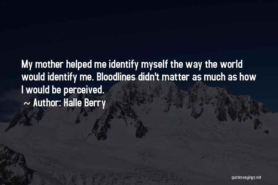 Halle Berry Quotes: My Mother Helped Me Identify Myself The Way The World Would Identify Me. Bloodlines Didn't Matter As Much As How