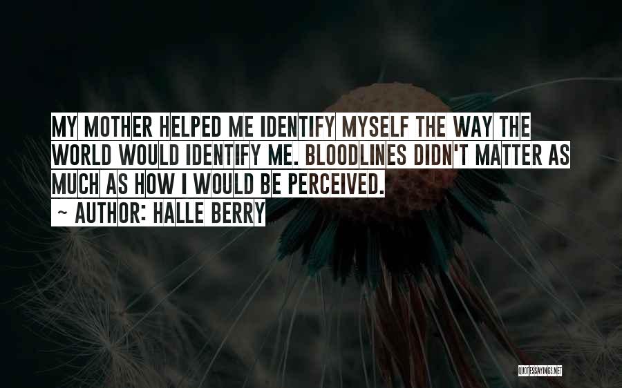 Halle Berry Quotes: My Mother Helped Me Identify Myself The Way The World Would Identify Me. Bloodlines Didn't Matter As Much As How