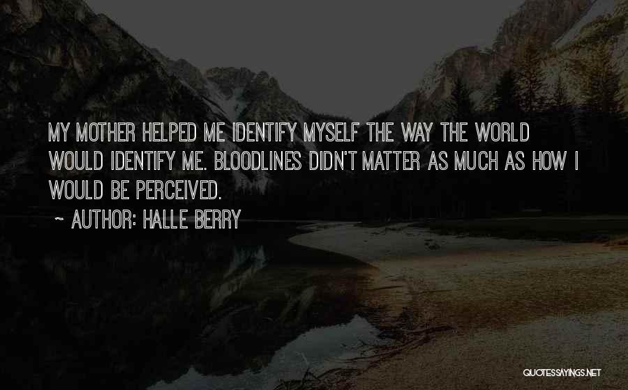 Halle Berry Quotes: My Mother Helped Me Identify Myself The Way The World Would Identify Me. Bloodlines Didn't Matter As Much As How