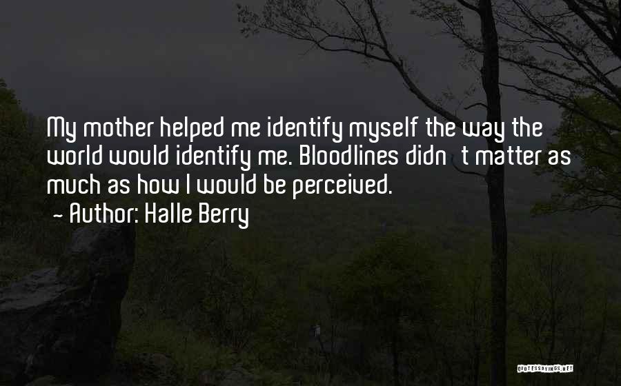 Halle Berry Quotes: My Mother Helped Me Identify Myself The Way The World Would Identify Me. Bloodlines Didn't Matter As Much As How