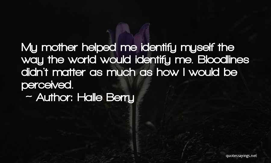 Halle Berry Quotes: My Mother Helped Me Identify Myself The Way The World Would Identify Me. Bloodlines Didn't Matter As Much As How