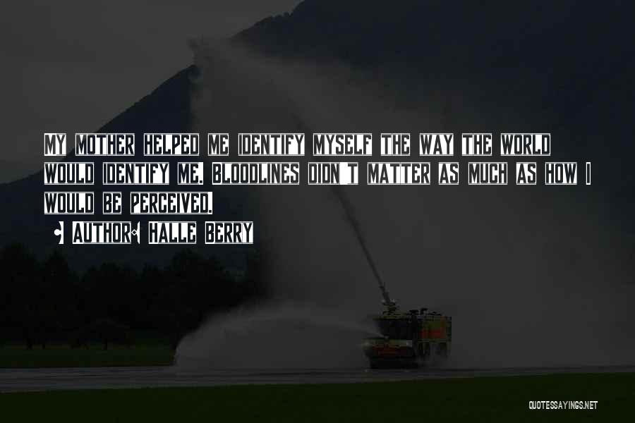 Halle Berry Quotes: My Mother Helped Me Identify Myself The Way The World Would Identify Me. Bloodlines Didn't Matter As Much As How